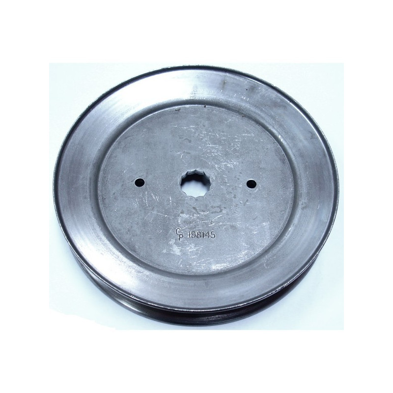 Poulie palier lame Tracteur tondeuse Mc Culloch
