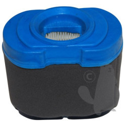 Filtre à air moteur Briggs et Stratton bicylindre