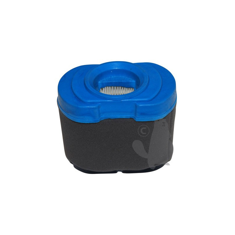 Filtre à air moteur Briggs et Stratton bicylindre