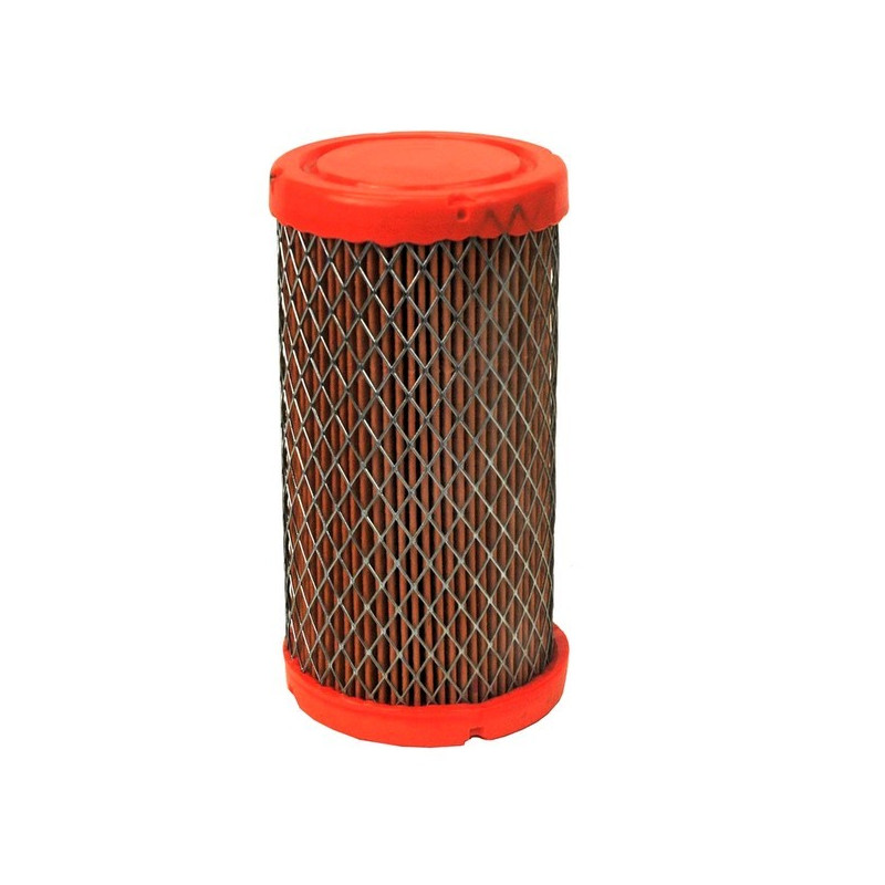 Filtre a air Briggs & Stratton
