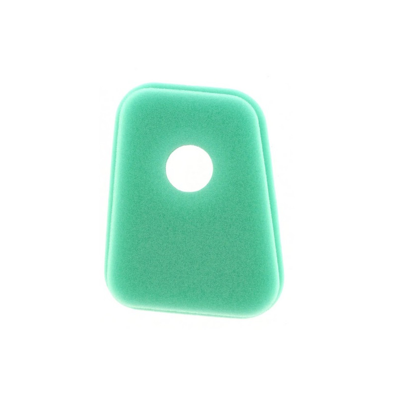 Filtre a air Briggs et Stratton mousse - 27987S