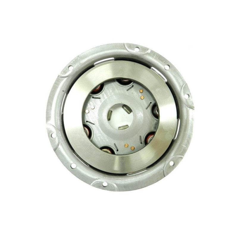 Embrayage motoculteur Goldoni