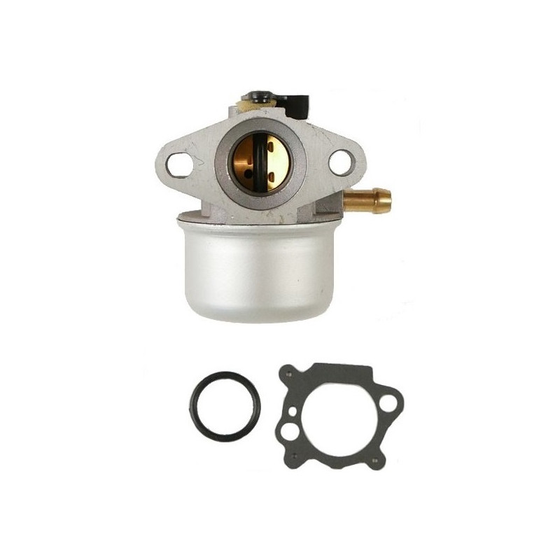 Carburateur moteur Briggs et Stratton -  498170