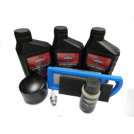 Kit entretien moteur Briggs & Stratton