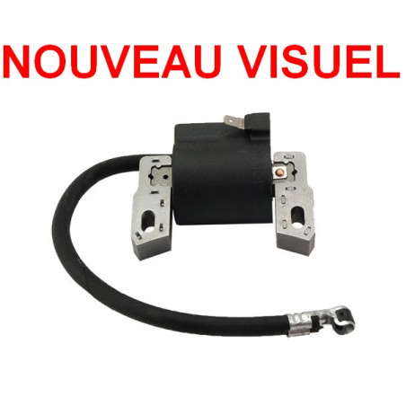 Bobine allumage Briggs et Stratton moteur Quantum 5 et 6.75cv