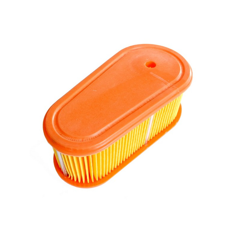 Filtre a air moteur Briggs & Stratton 795066, 796254