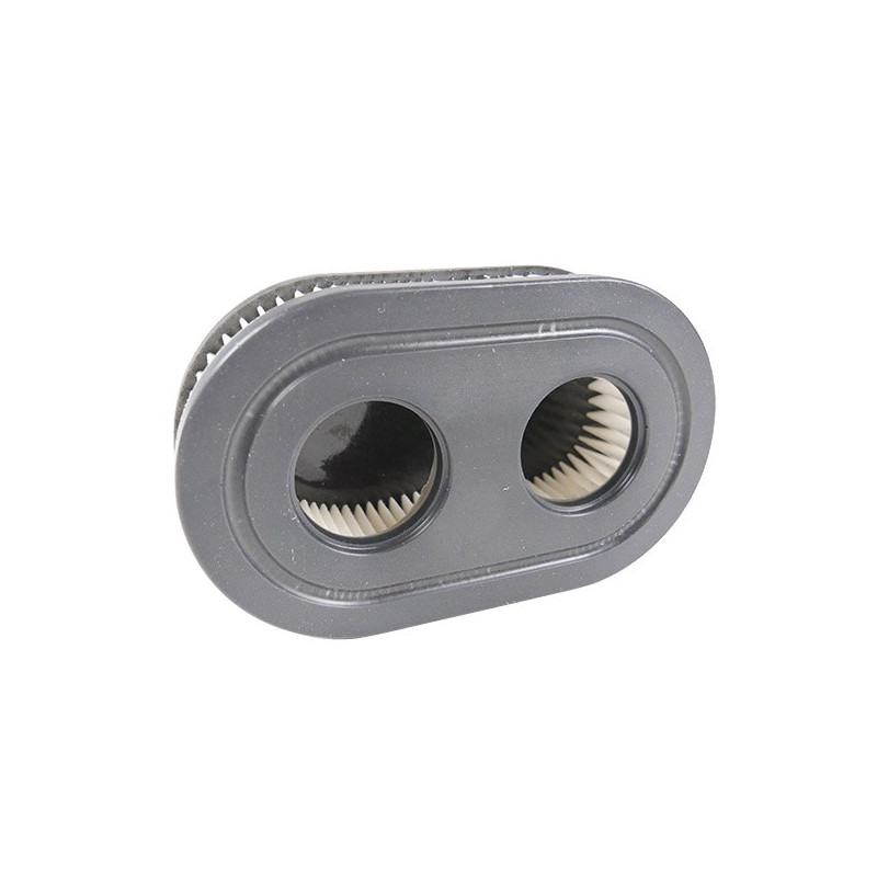 Filtre à air Briggs et Stratton