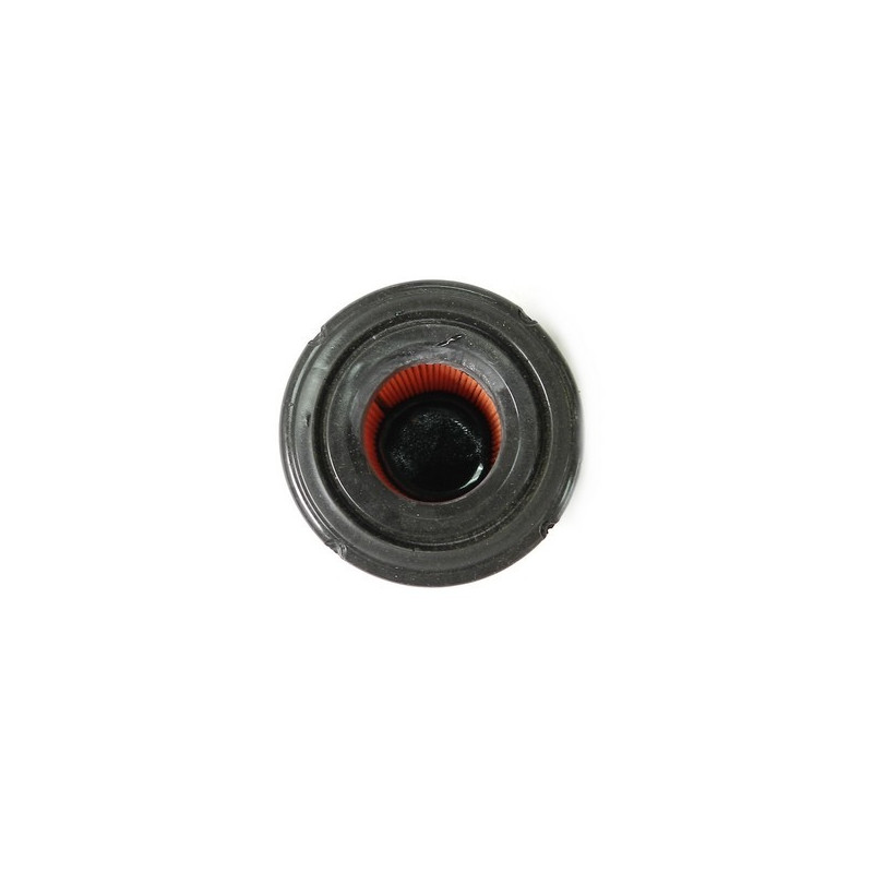 Filtre à air moteur Briggs et Stratton