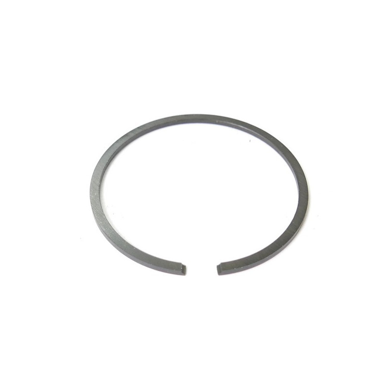 Segment tronconneuse Echo