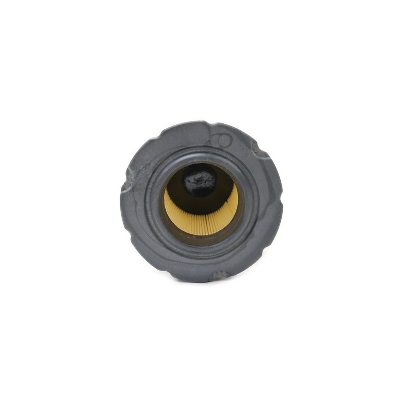 Filtre a air Briggs & Stratton ovale