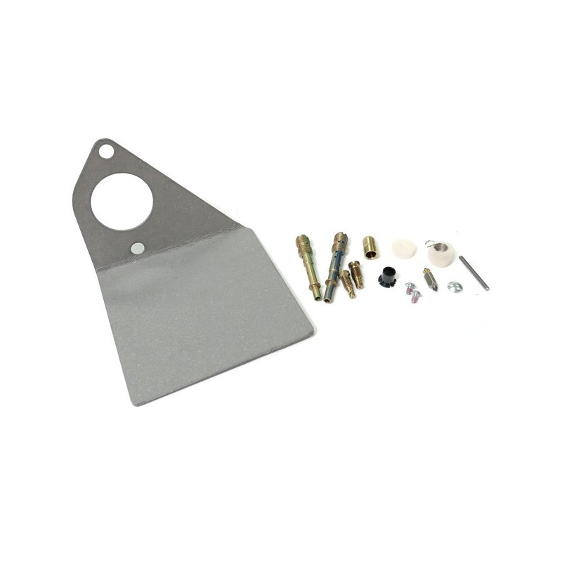 Kit joint carburateur moteur Briggs et Stratton