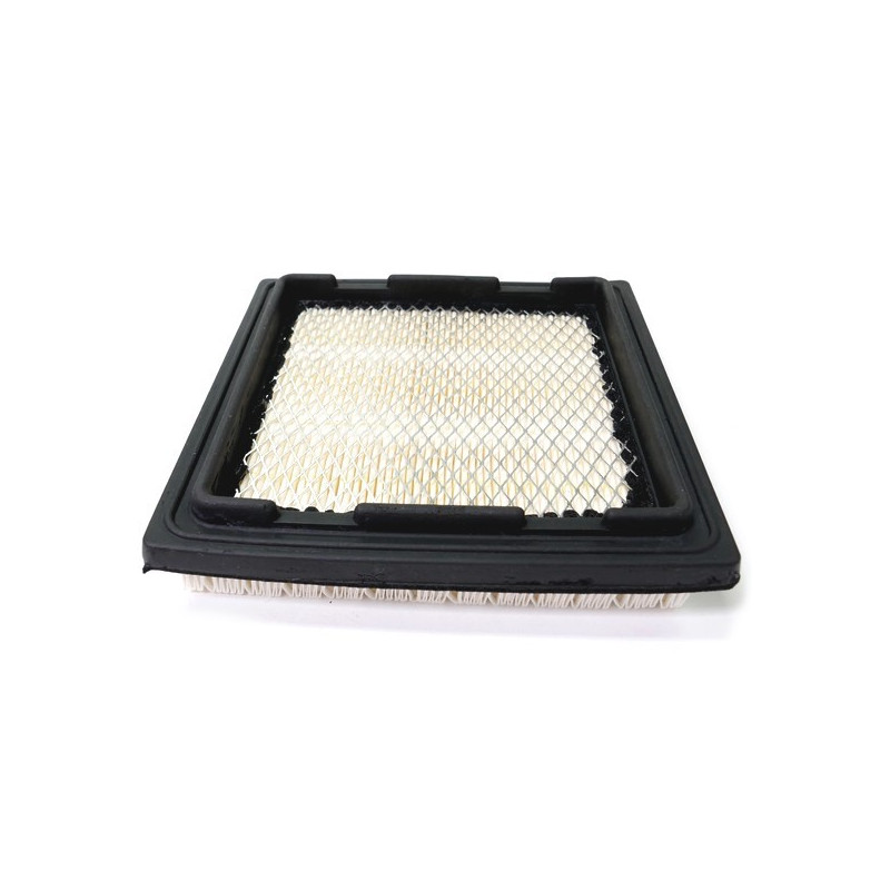 Filtre à air Tecumseh autoportée - 37360