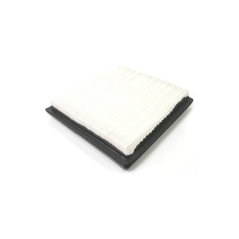 Filtre à air Tecumseh autoportée - 37360