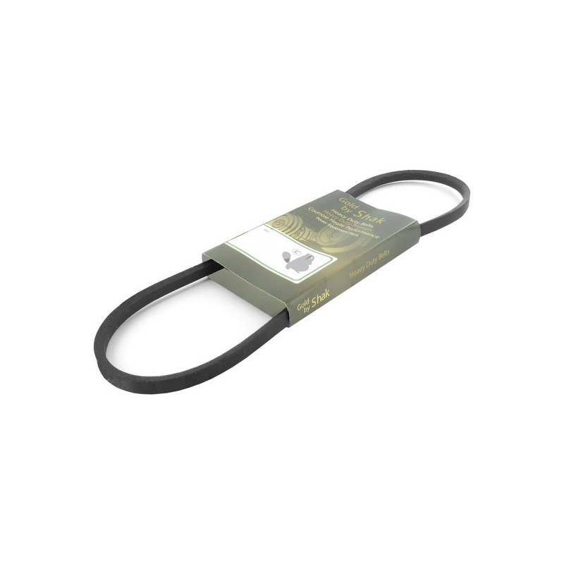 Courroie Shak série 3L aramide 9.53x1270