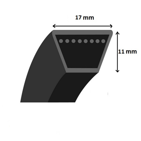 Courroie lisse trapézoïdale B225