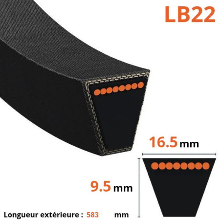 Courroie lisse trapézoïdale LB22