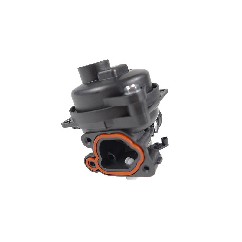 Carburateur moteur Briggs et Stratton