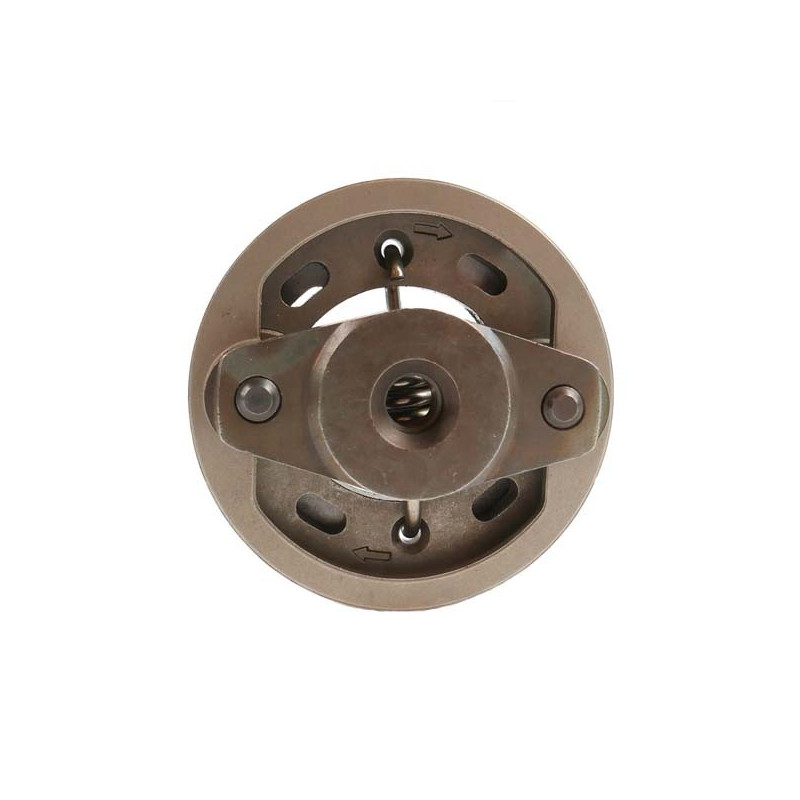 Embrayage debrousailleuse Echo - P021035610