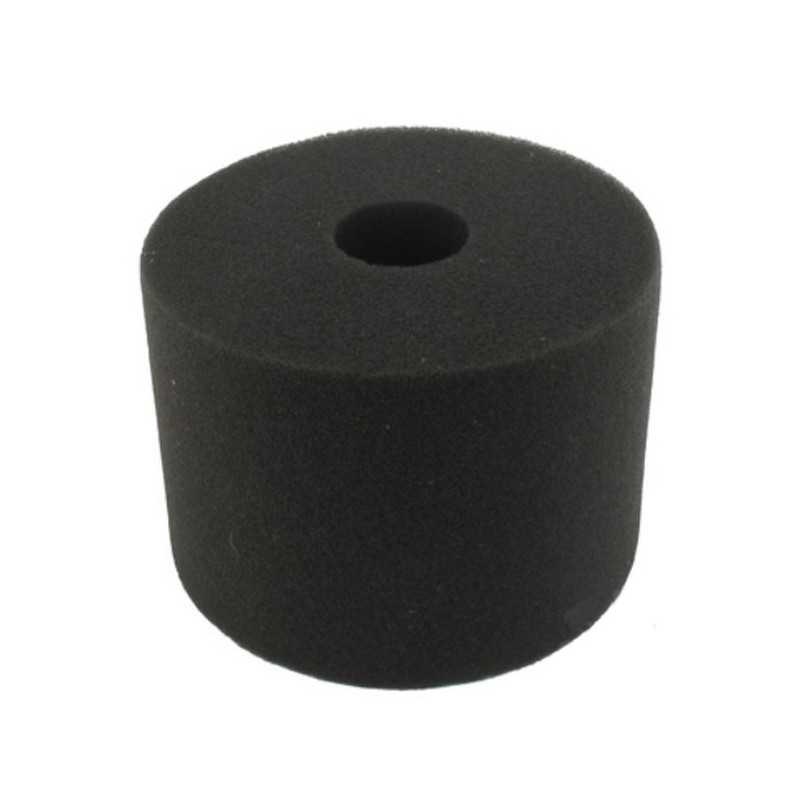 Filtre à air moteur Briggs et Stratton
