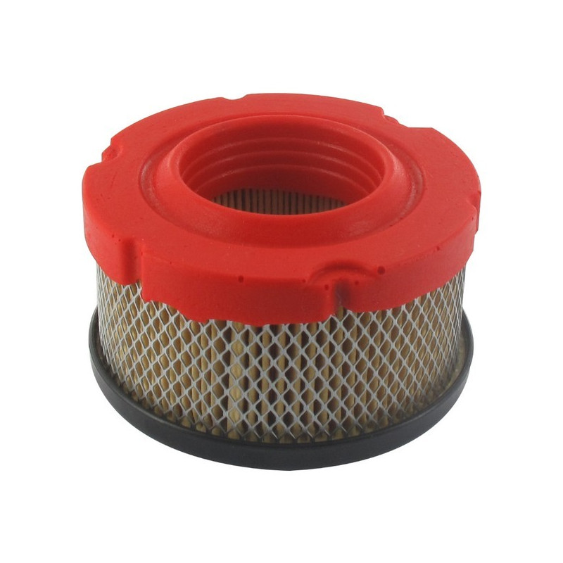 Filtre à air moteur Briggs et Stratton Filtre à air moteur Briggs et Stratton