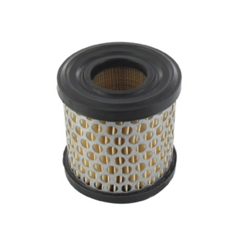Filtre à air moteur Briggs et Stratton
