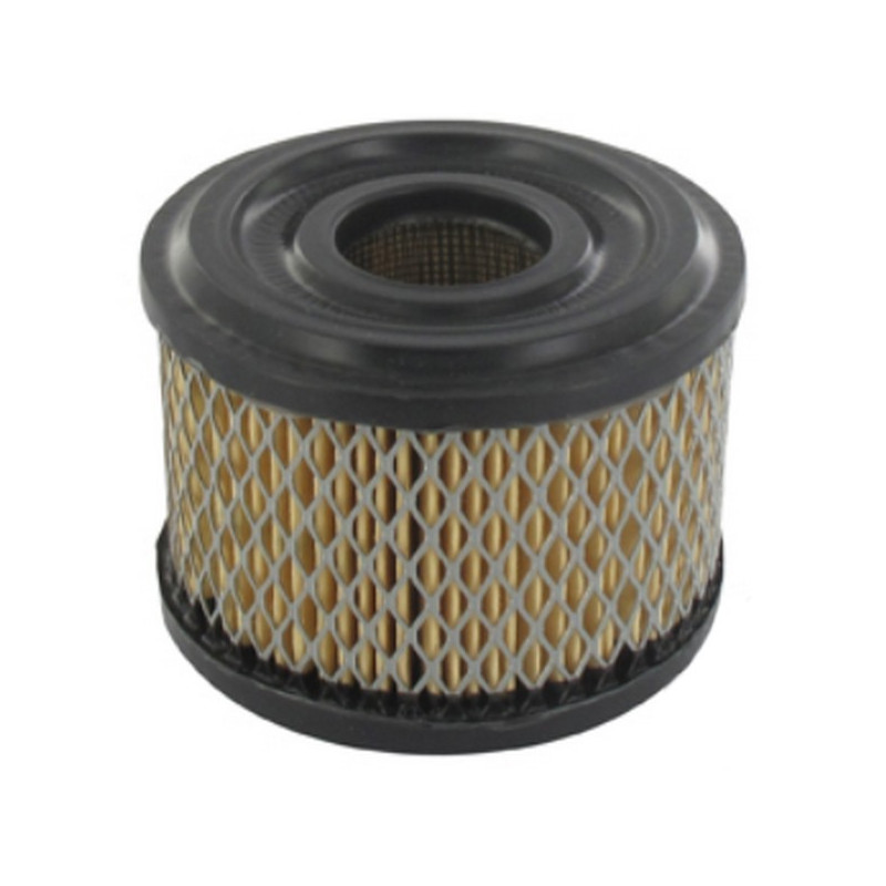 Filtre à air moteur Briggs et Stratton