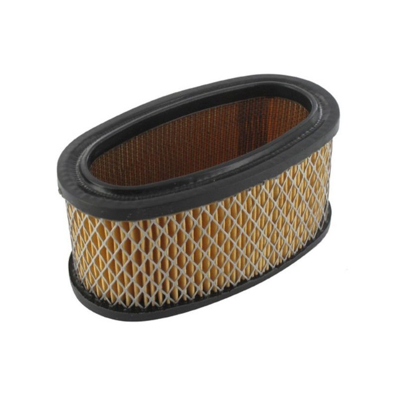 Filtre à air moteur Briggs et Stratton