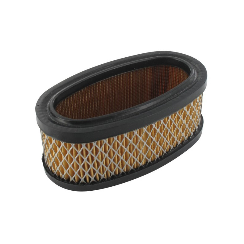 Filtre à air moteur Briggs et Stratton