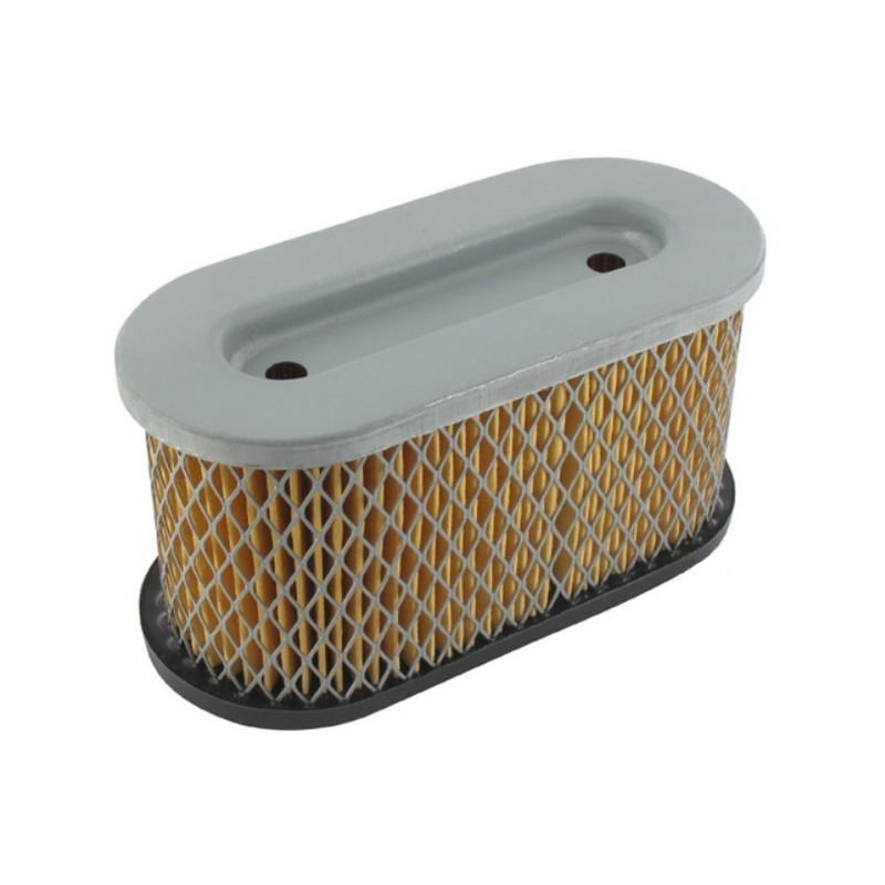 Filtre à air moteur Briggs et Stratton Filtre à air moteur Briggs et Stratton