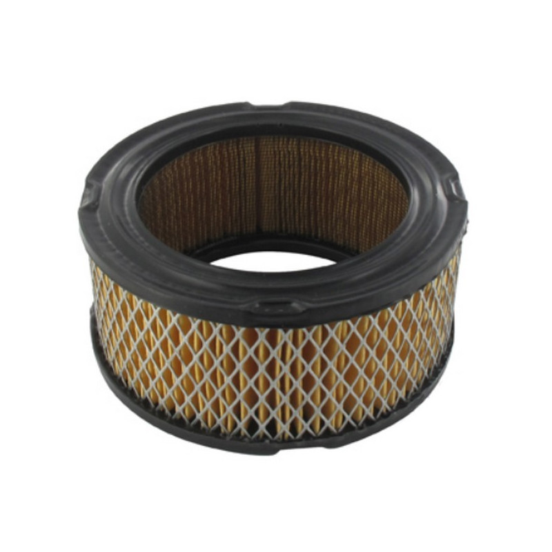 Filtre à air moteur Briggs et Stratton