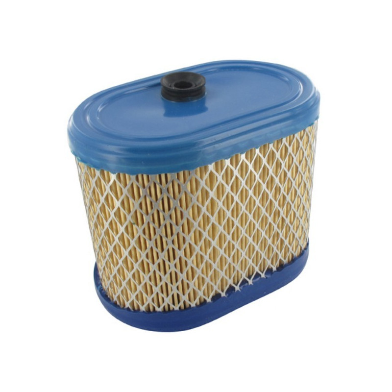 Filtre à air moteur Briggs et Stratton