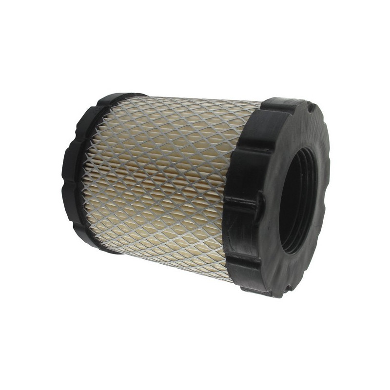 Filtre à air moteur Briggs et Stratton