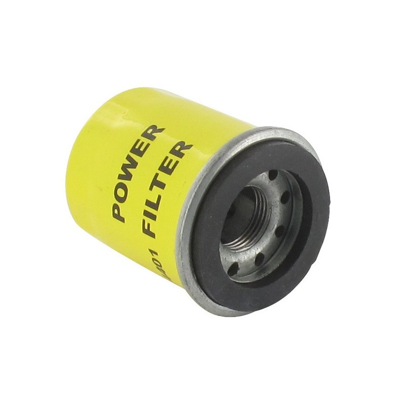 Filtre à huile tondeuse moteur Briggs & Stratton 795990