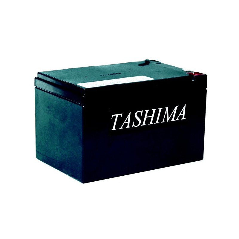 Batterie tracteur tondeuse Tashima 12V 14A