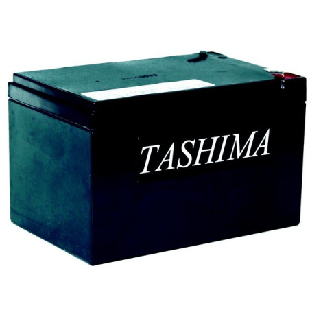 Batterie tracteur tondeuse Tashima 12V 14A