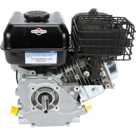 Moteur Briggs et Stratton 550E séries