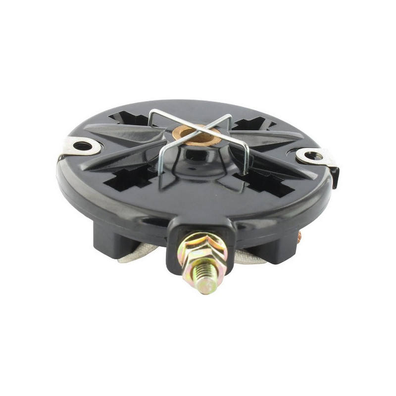 Porte charbons démarreur moteur Briggs et Stratton