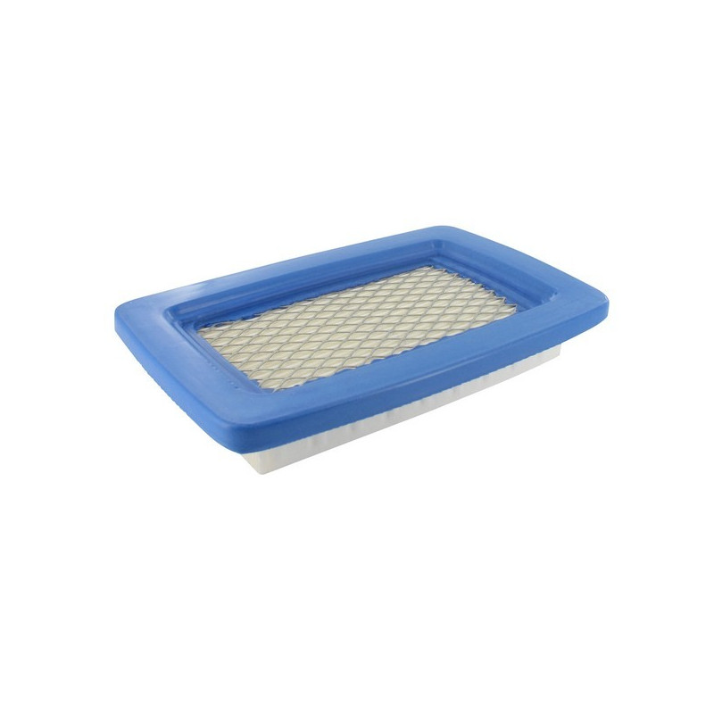 Filtre à air souffleur Echo