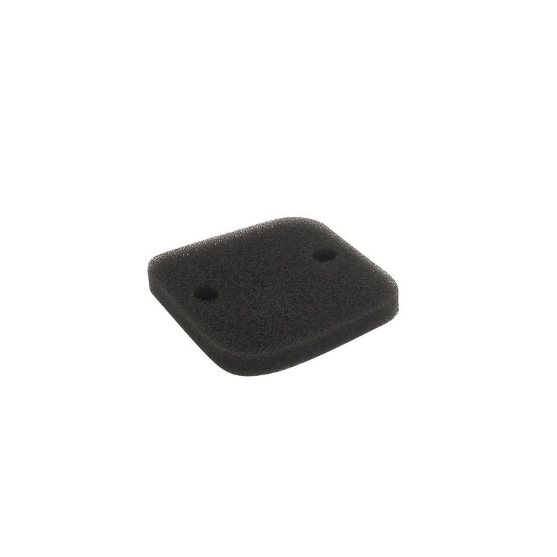 Filtre à air débroussailleuse Echo