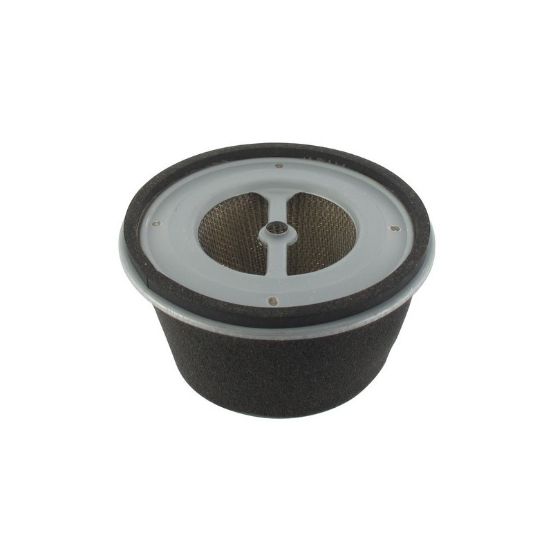 Filtre à air motoculteur moteur Honda