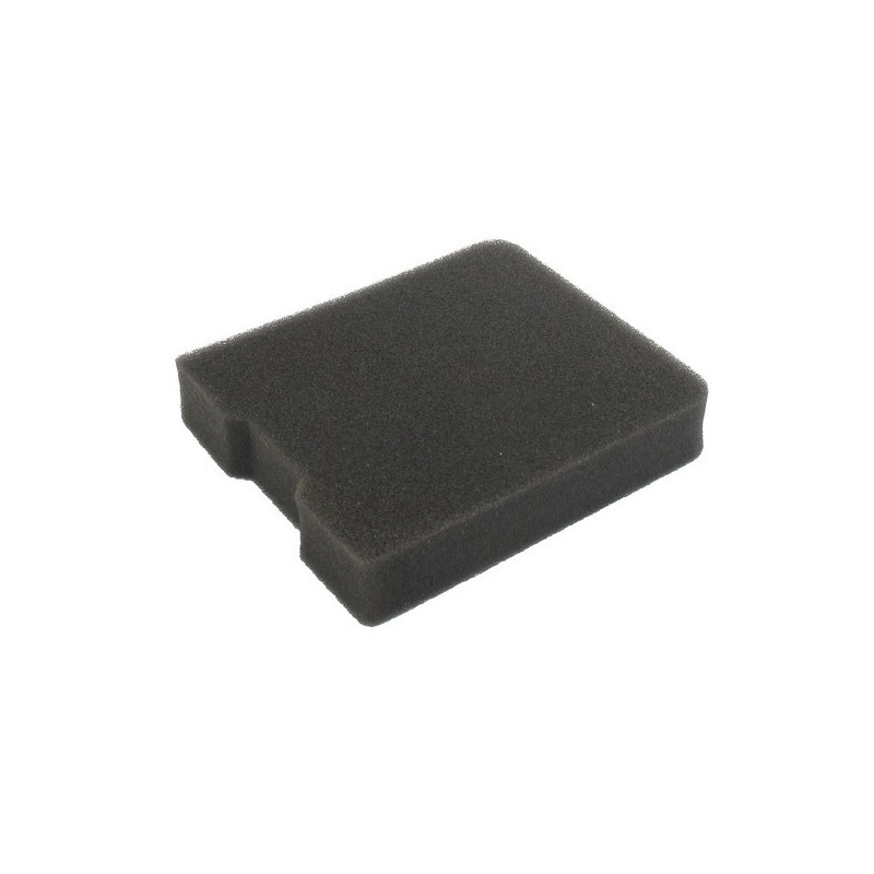 Filtre à air souffleur Tanaka