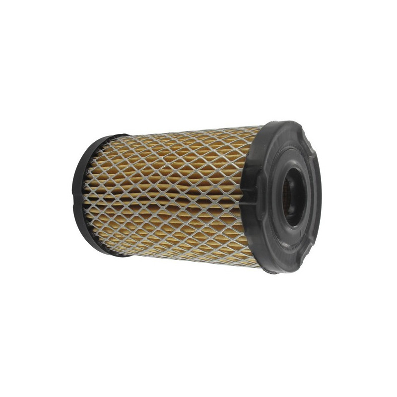 Filtre à air motoculteur moteur Tecumseh