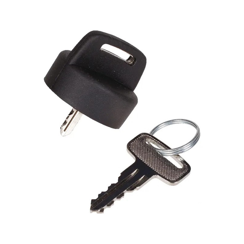 Paire de clés de contact tracteur tondeuse MTD