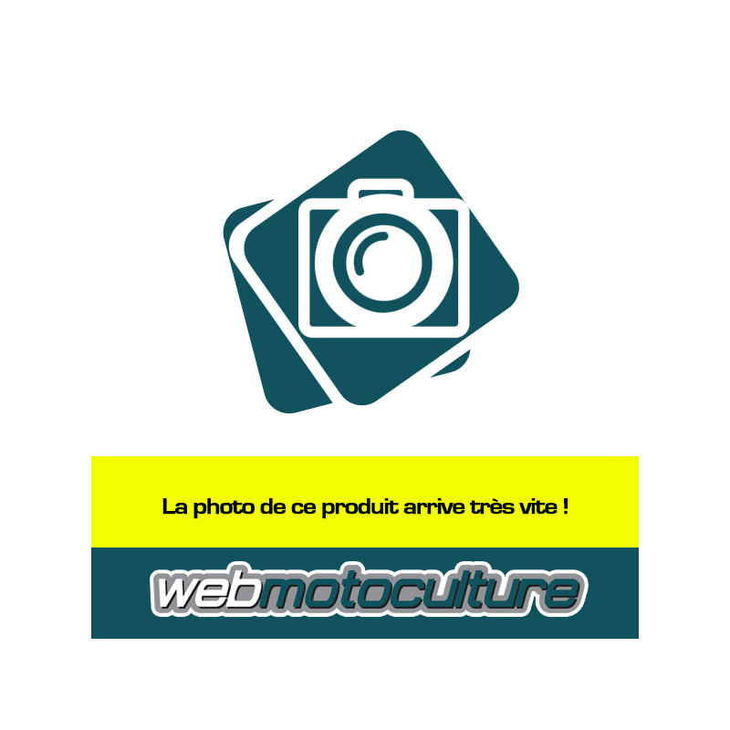 Ressort régulateur moteur Briggs et Stratton