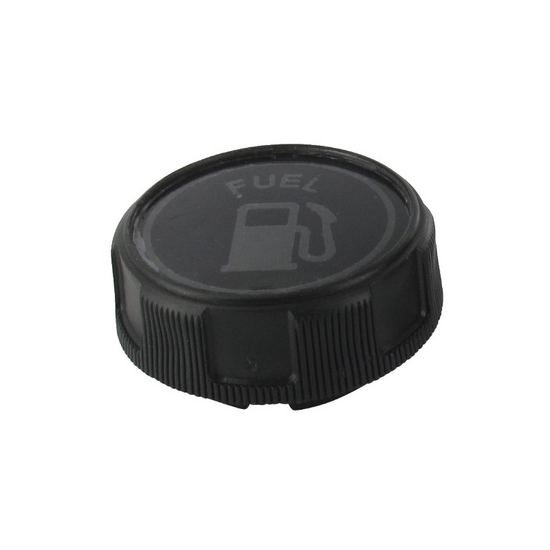 Bouchon Essence Briggs et Stratton