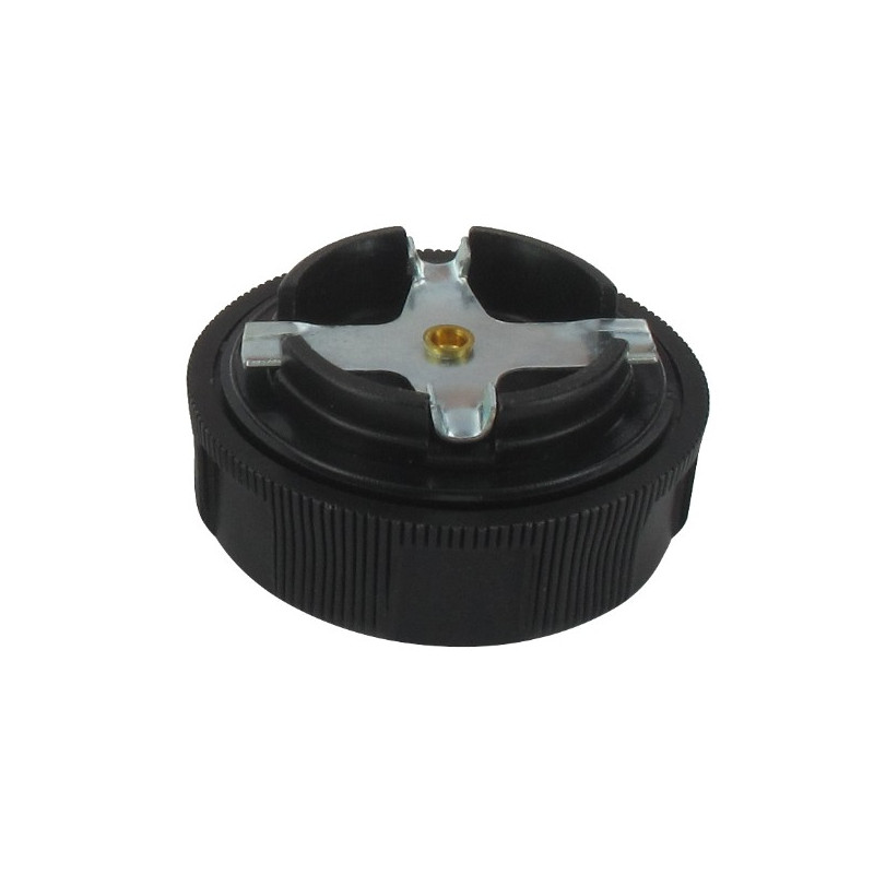 Bouchon Essence Briggs et Stratton