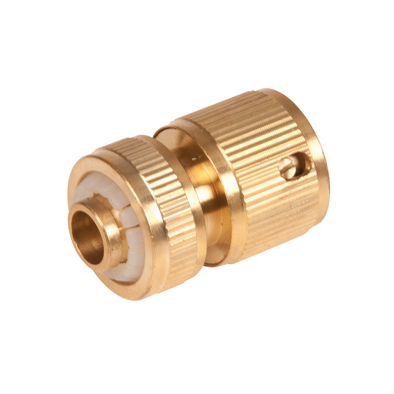 Raccord rapide en laiton Silverline