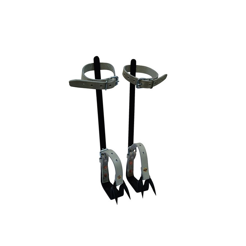 Paire grimpette élagage acier