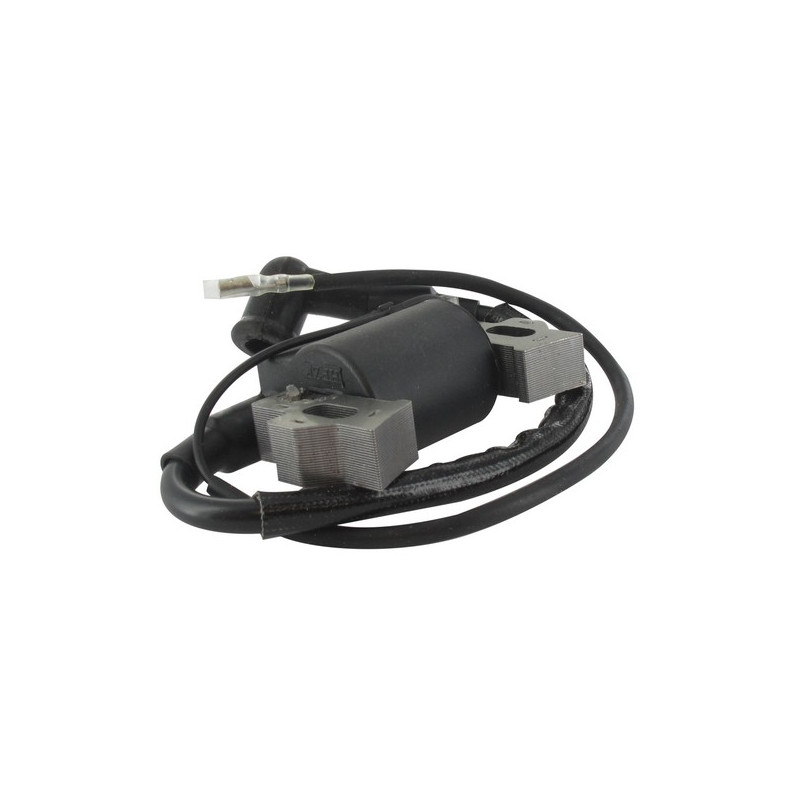 Bobine allumage moteur GGP