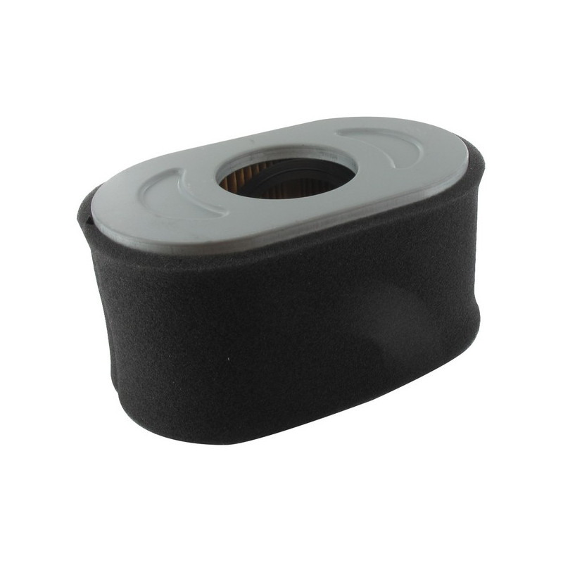 Filtre à air moteur briggs et Stratton